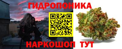 эйфоретик Моздок