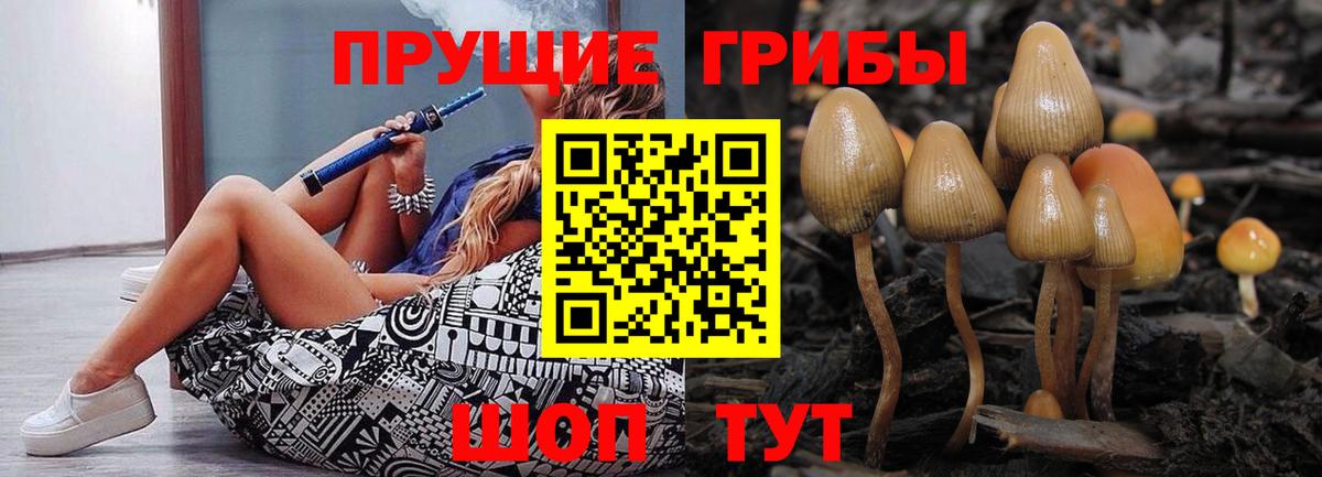 Будённовск  Псилоцибиновые грибы Magic Shrooms  Вход с VPN 
